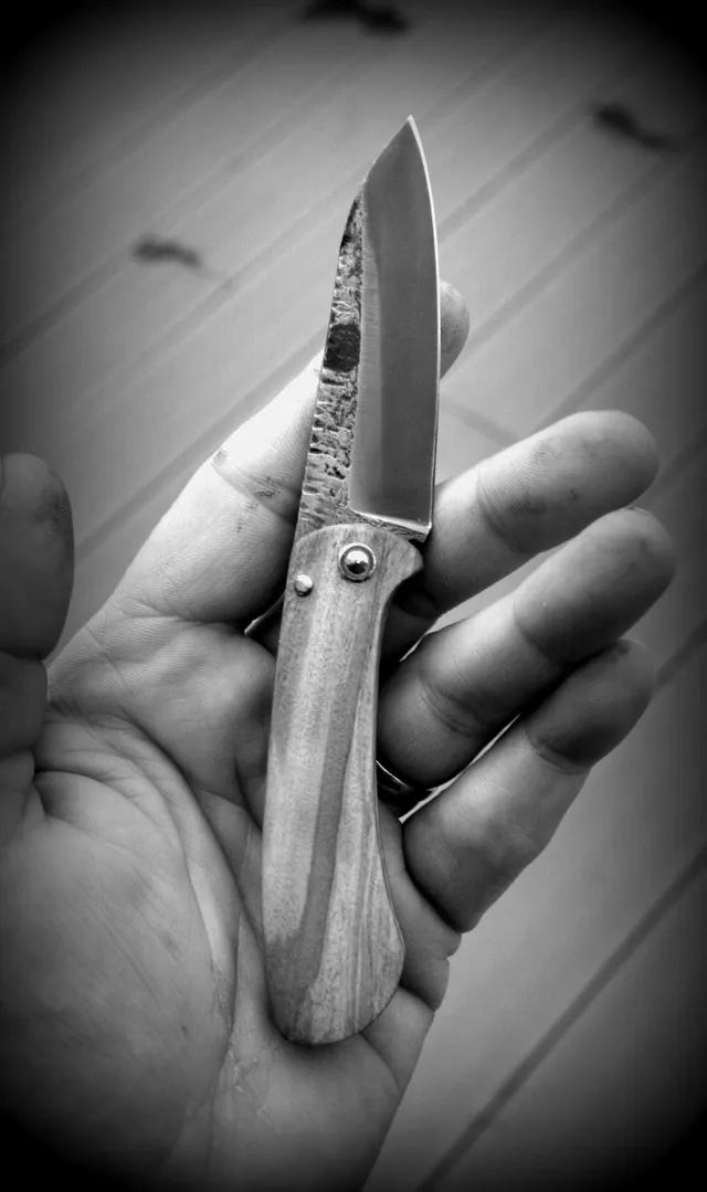 Les collab's — photo 17